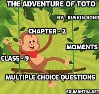 The Adventures of Toto MCQ